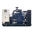 Landfill Gas LFG Economical Bio Gas High Efficiency 20kW 30kW 50kW Biogas Electricity Generator With CHP System